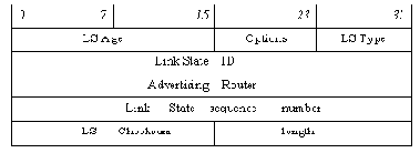 Заголовок LSA